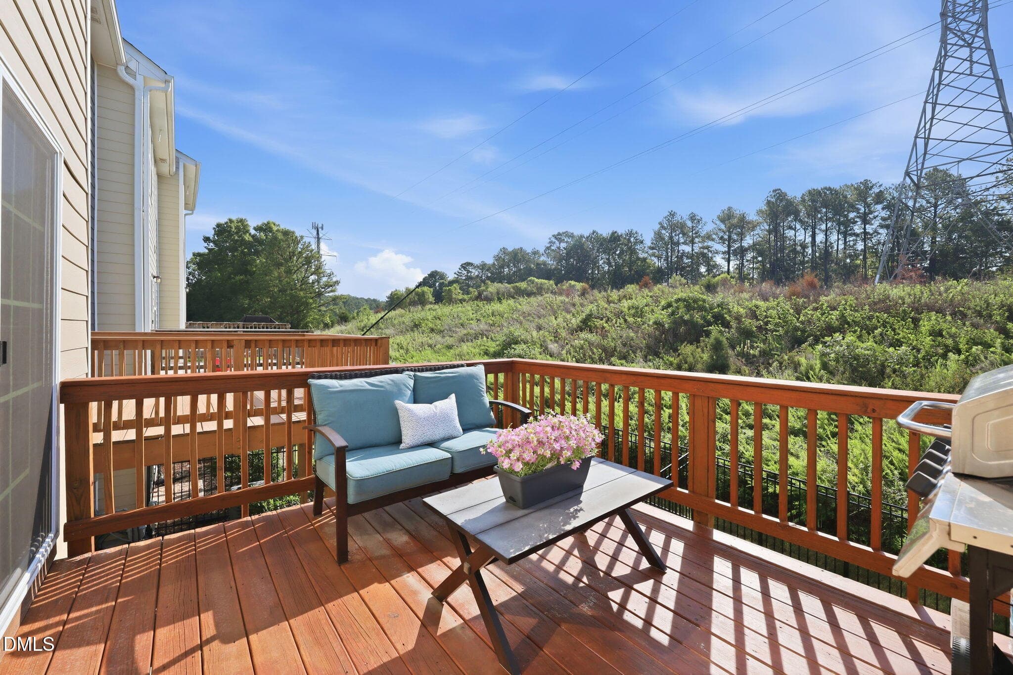 40-web-or-mls-IMG_3744 - 462 Brier Summit Place, Durham, NC 27703