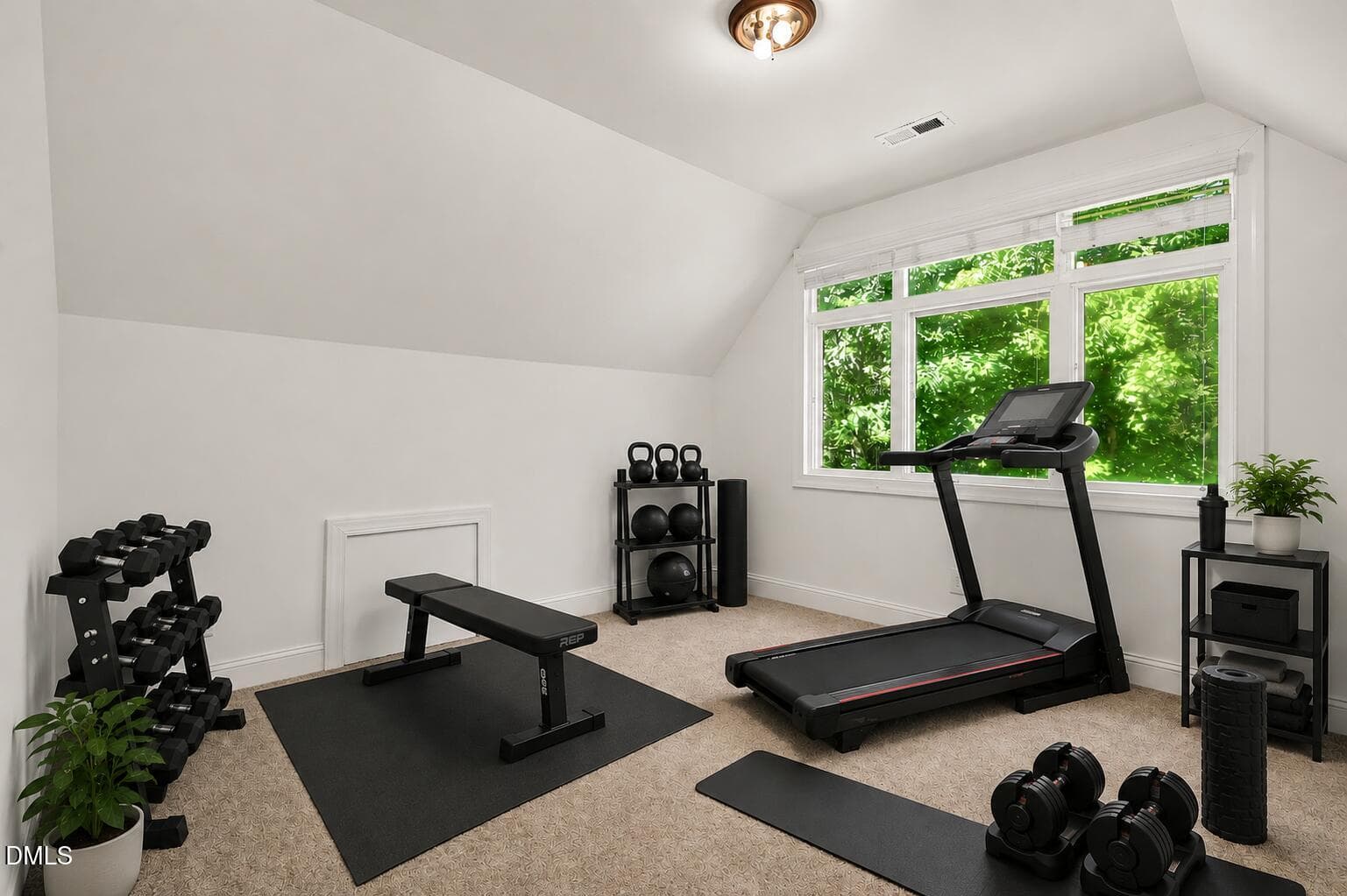 Home Gym - 1021 Reaves Drive, Chapel Hill, NC 27516, Chapel Hill