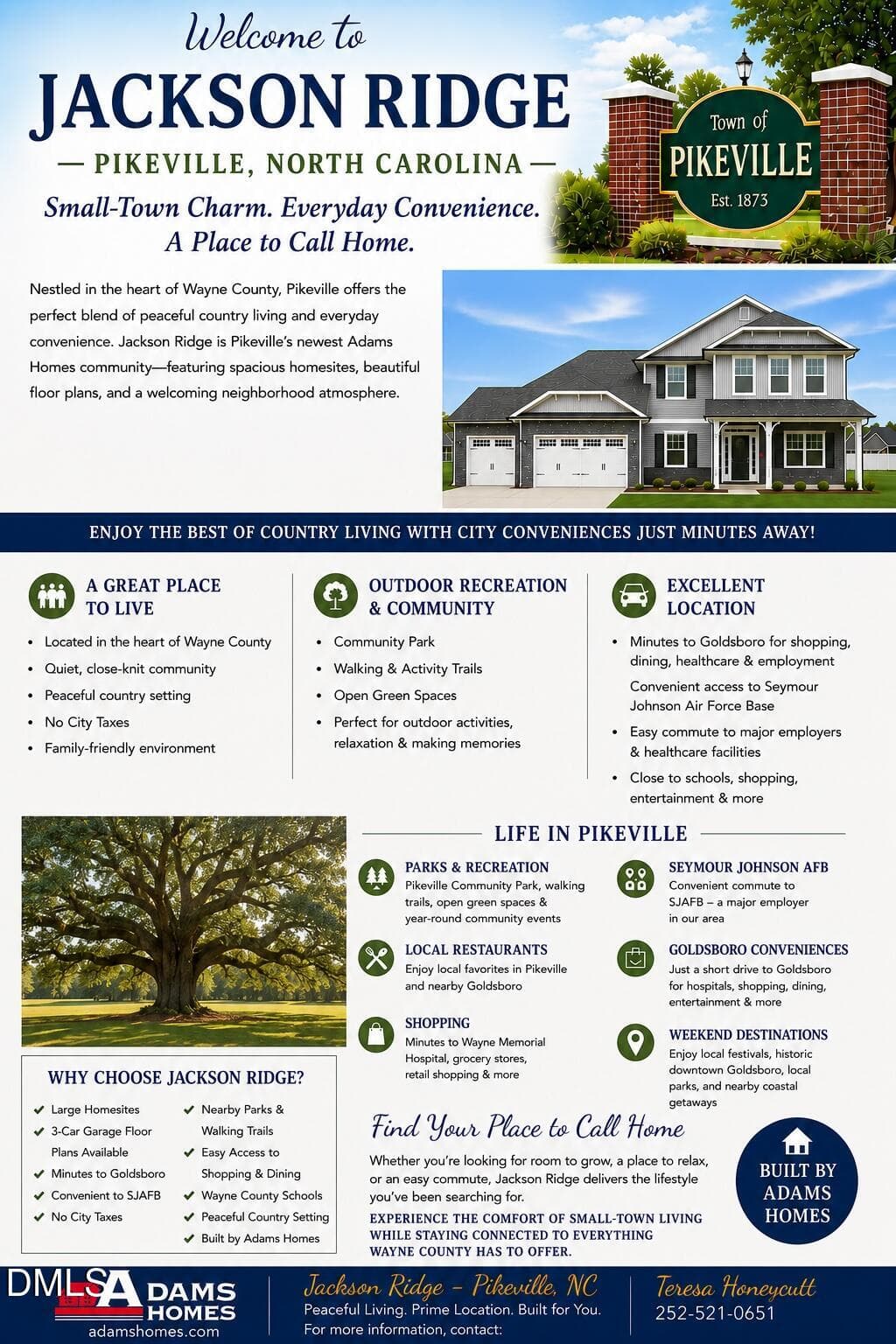 JACKSON RIDGE FLYER - 101 Patience Way, Pikeville, NC 27863, Pikeville