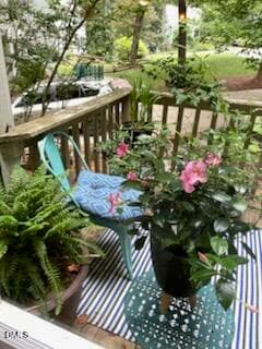 IMG_6976 - 7 Fox Chase Lane, Durham, NC 27713, Durham