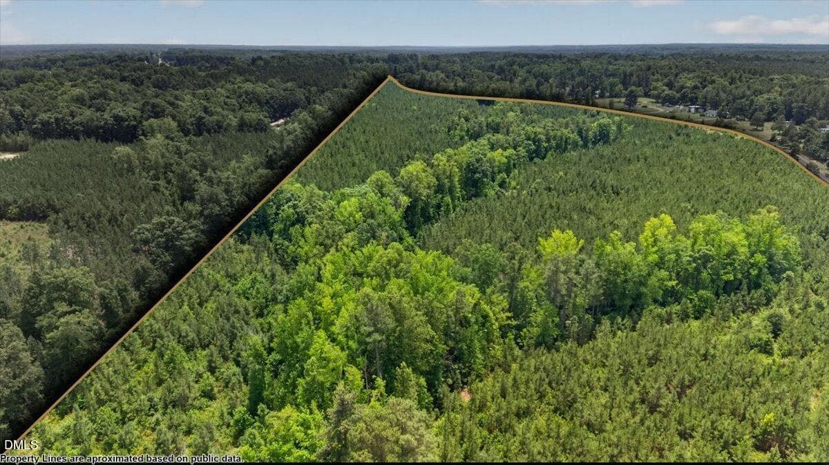 01-DJI_20260710134148_0757_D - Tbd Hicksboro Road, Henderson, NC 27537
