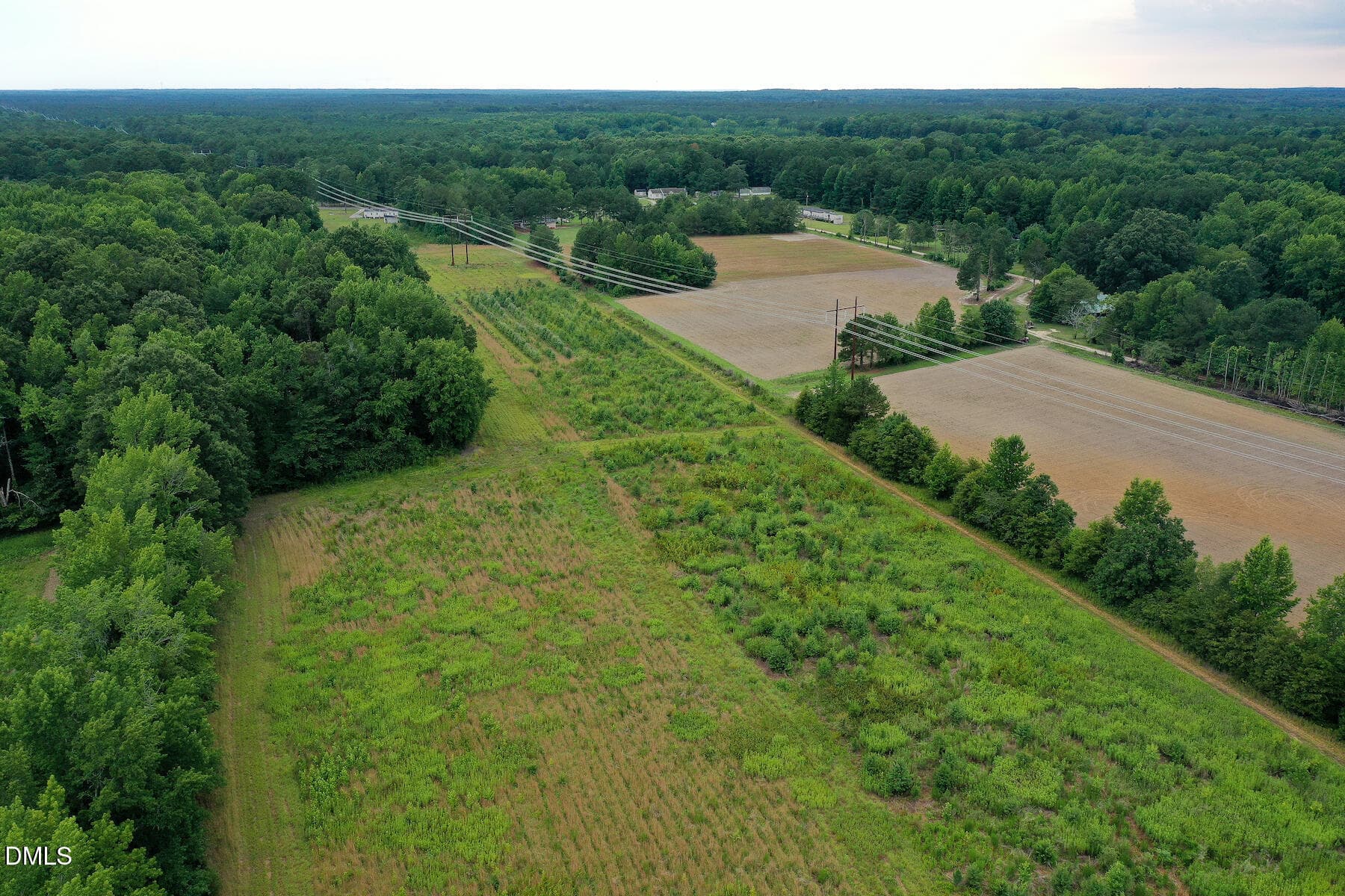 25 Paras 19.3 Acres Bunnlevel Erwin Rd - 19.2 Acres Bunnlevel Erwin Road, Erwin, NC 28339