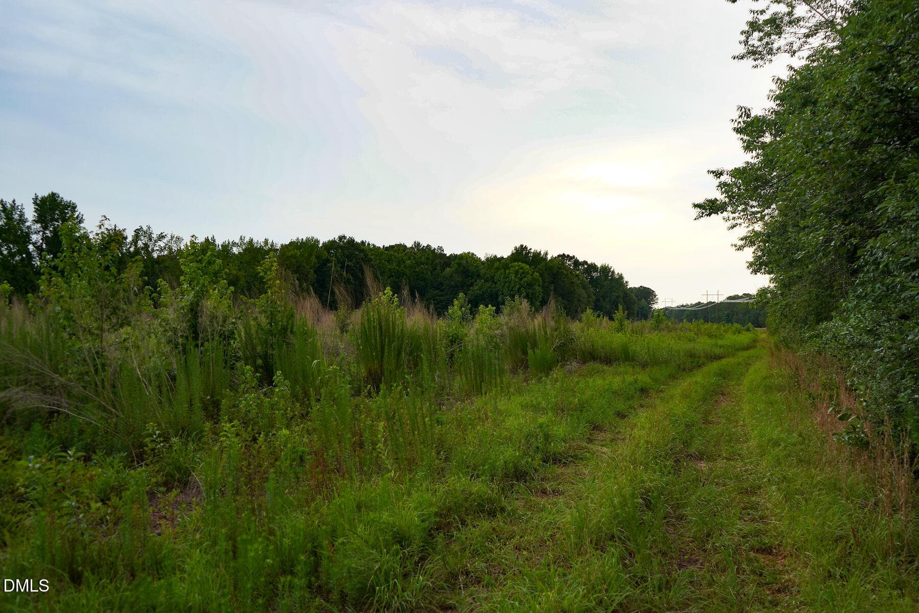 28 Paras 19.3 Acres Bunnlevel Erwin Rd - 19.2 Acres Bunnlevel Erwin Road, Erwin, NC 28339