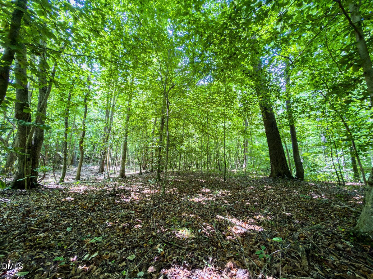 Caswell Co. NC 49.36-COA-Lot3-006 - 0 Park Springs Road, Ruffin, NC 27326