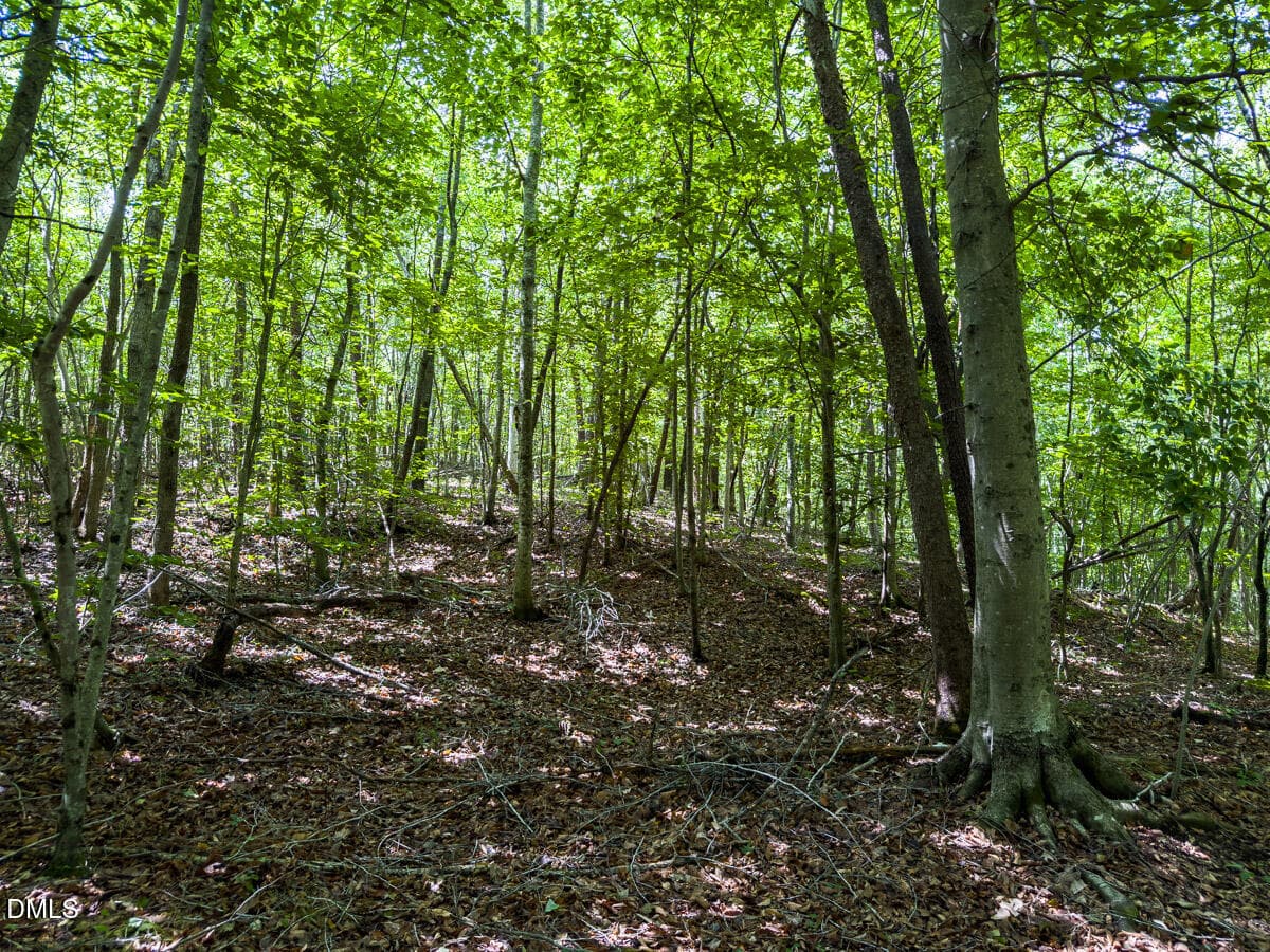 Caswell Co. NC 49.36-COA-Lot3-023 - 0 Park Springs Road, Ruffin, NC 27326