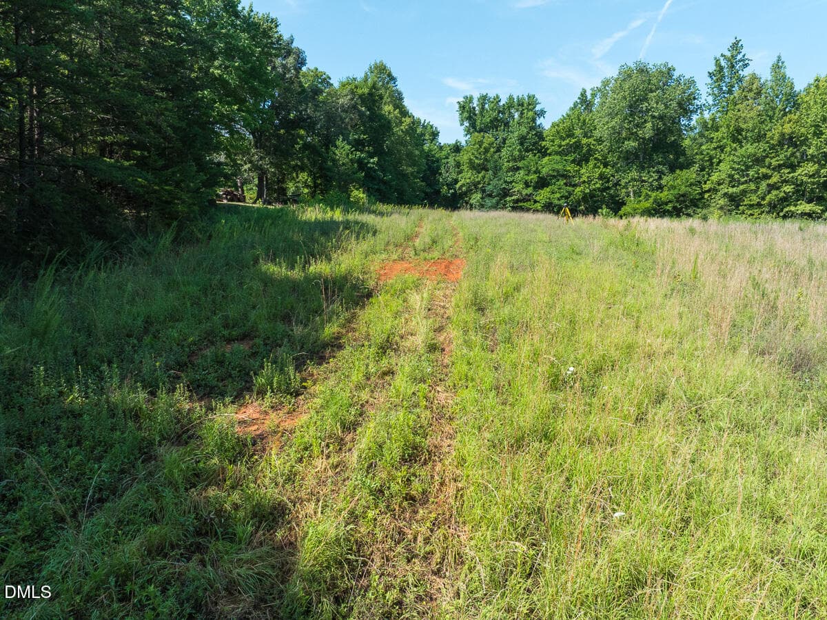 Caswell Co. NC 49.36-COA-Lot3-028 - 0 Park Springs Road, Ruffin, NC 27326