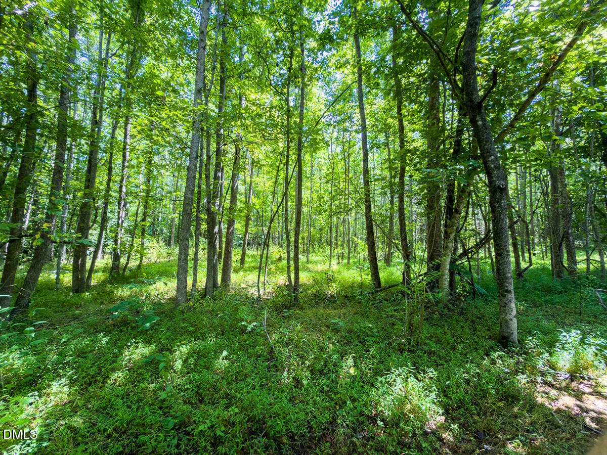 Caswell Co. NC 49.36-COA-Lot3-040 - 0 Park Springs Road, Ruffin, NC 27326