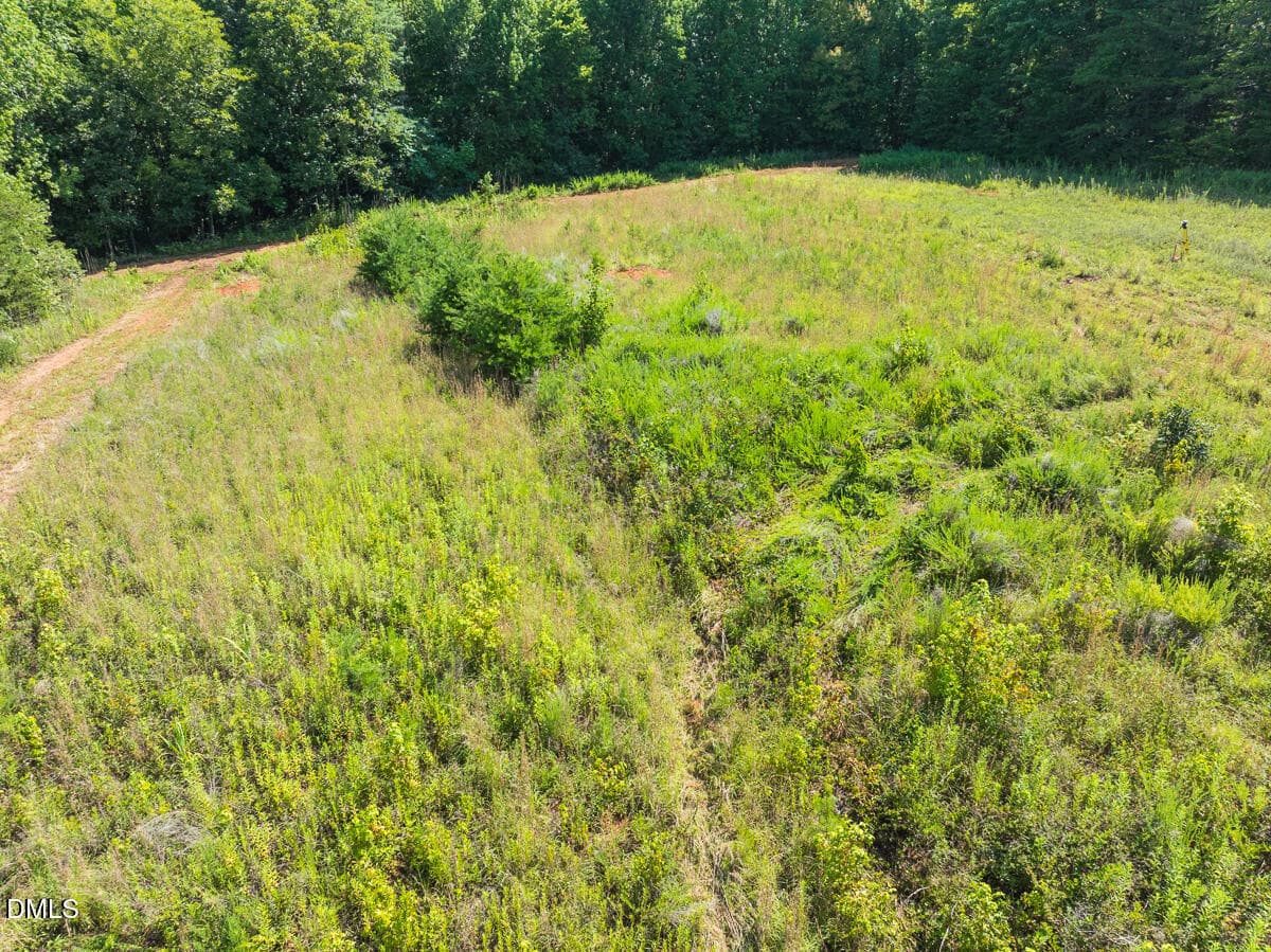 Caswell Co. NC 49.36-COA-Lot3-042 - 0 Park Springs Road, Ruffin, NC 27326