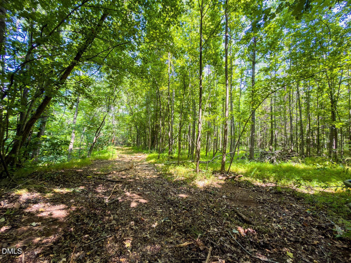 Caswell Co. NC 49.36-COA-Lot3-045 - 0 Park Springs Road, Ruffin, NC 27326