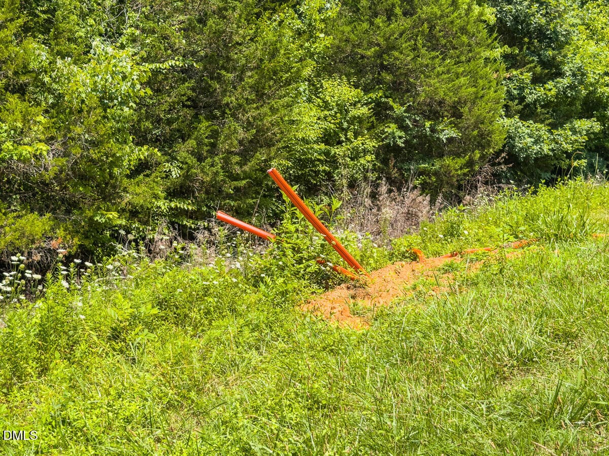 Caswell Co. NC 14.66-COA-Lot4-16 - 0 Park Springs Road, Ruffin, NC 27326