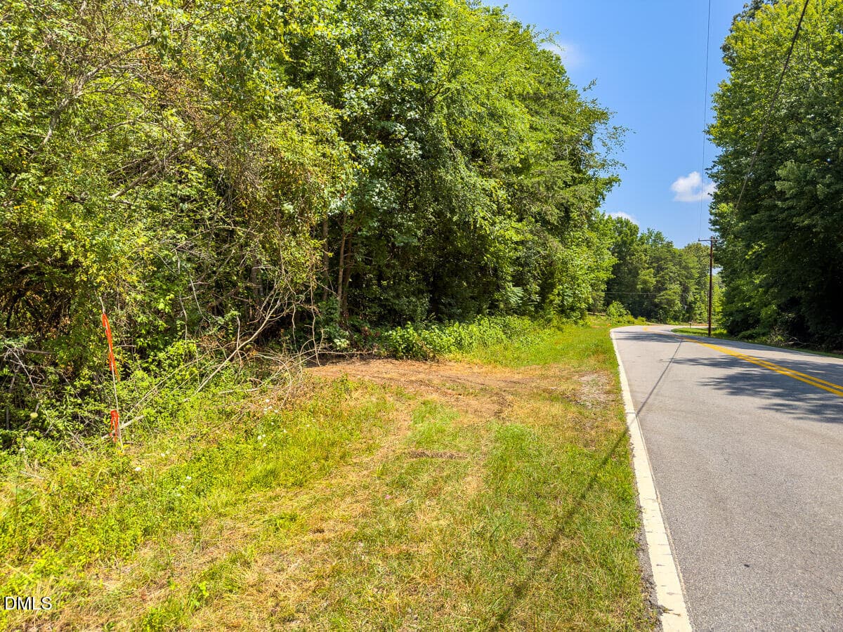 Caswell Co. NC 14.66-COA-Lot4-31 - 0 Park Springs Road, Ruffin, NC 27326