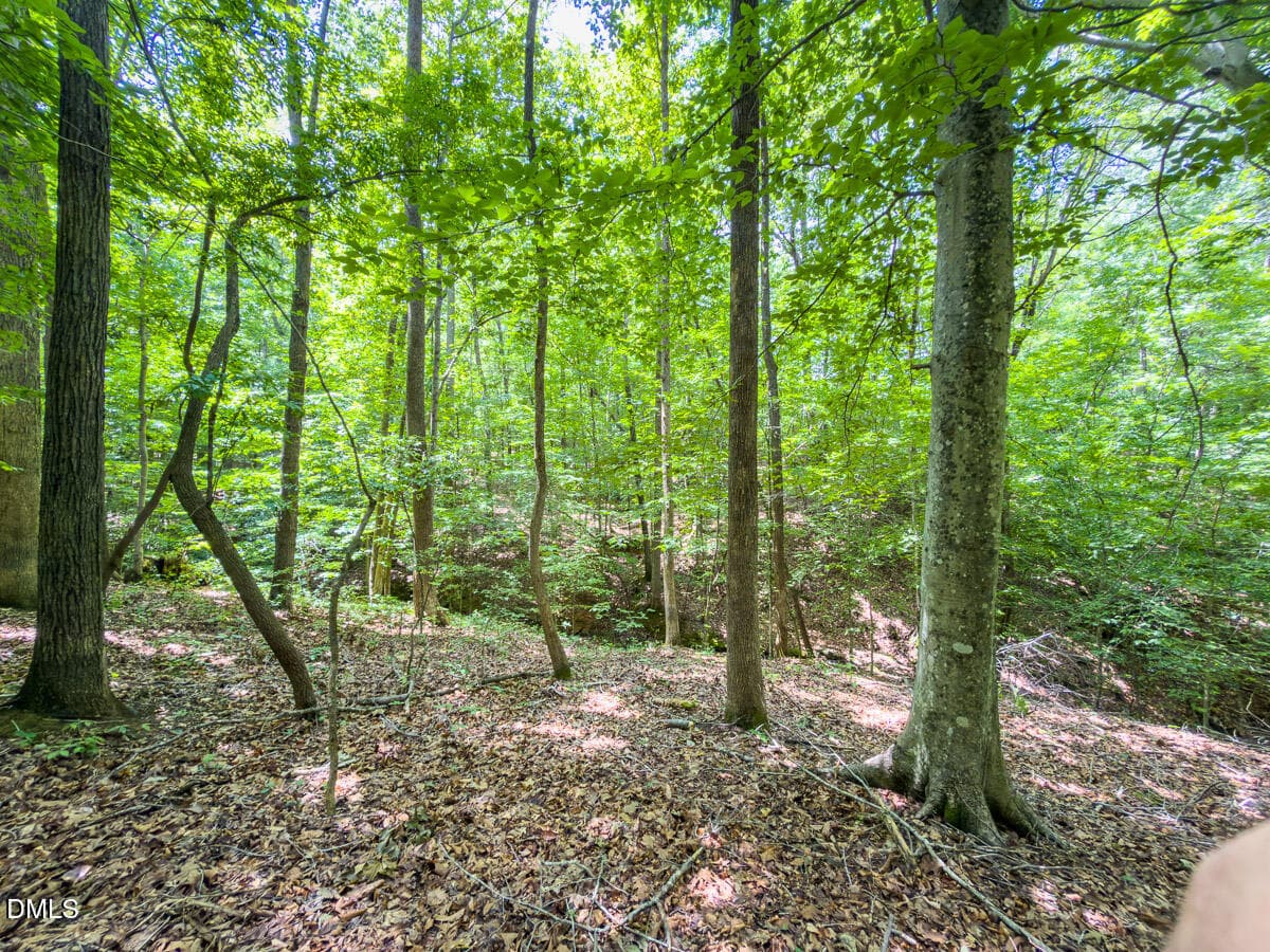 Caswell Co. NC 14.66-COA-Lot4-33 - 0 Park Springs Road, Ruffin, NC 27326