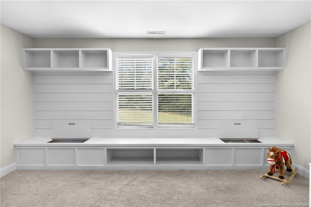 Bonus room with built-in storage - 5834 James Allen Lane, Stedman, NC 28391, Stedman