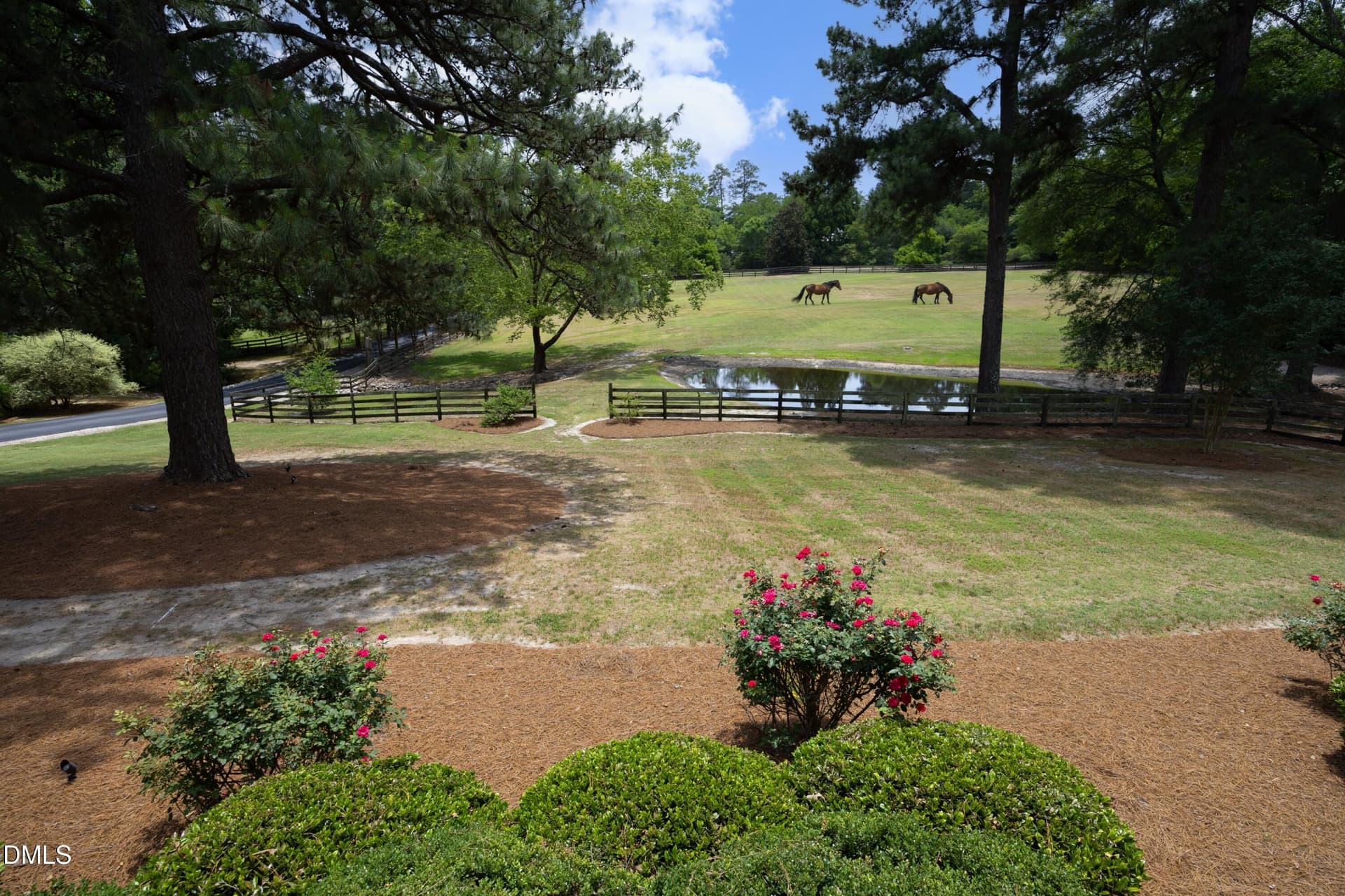 05FrontViewWithHorses - 4205 Millpoint Drive, Wake Forest, NC 27587