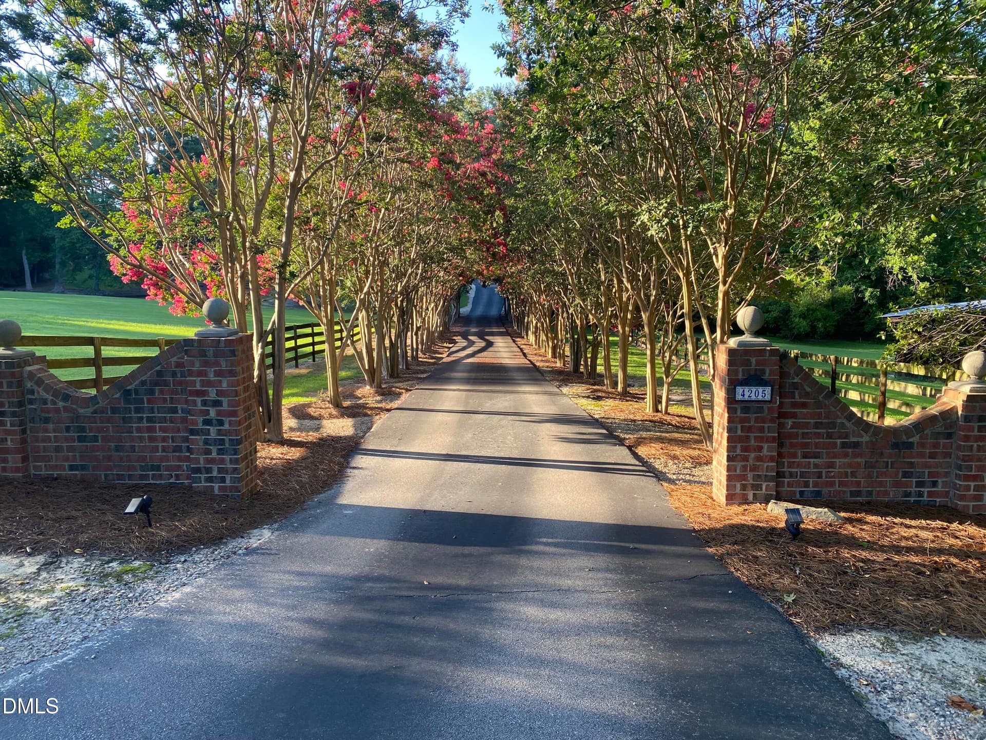 pic of crepe mrtle along drive - 4205 Millpoint Drive, Wake Forest, NC 27587