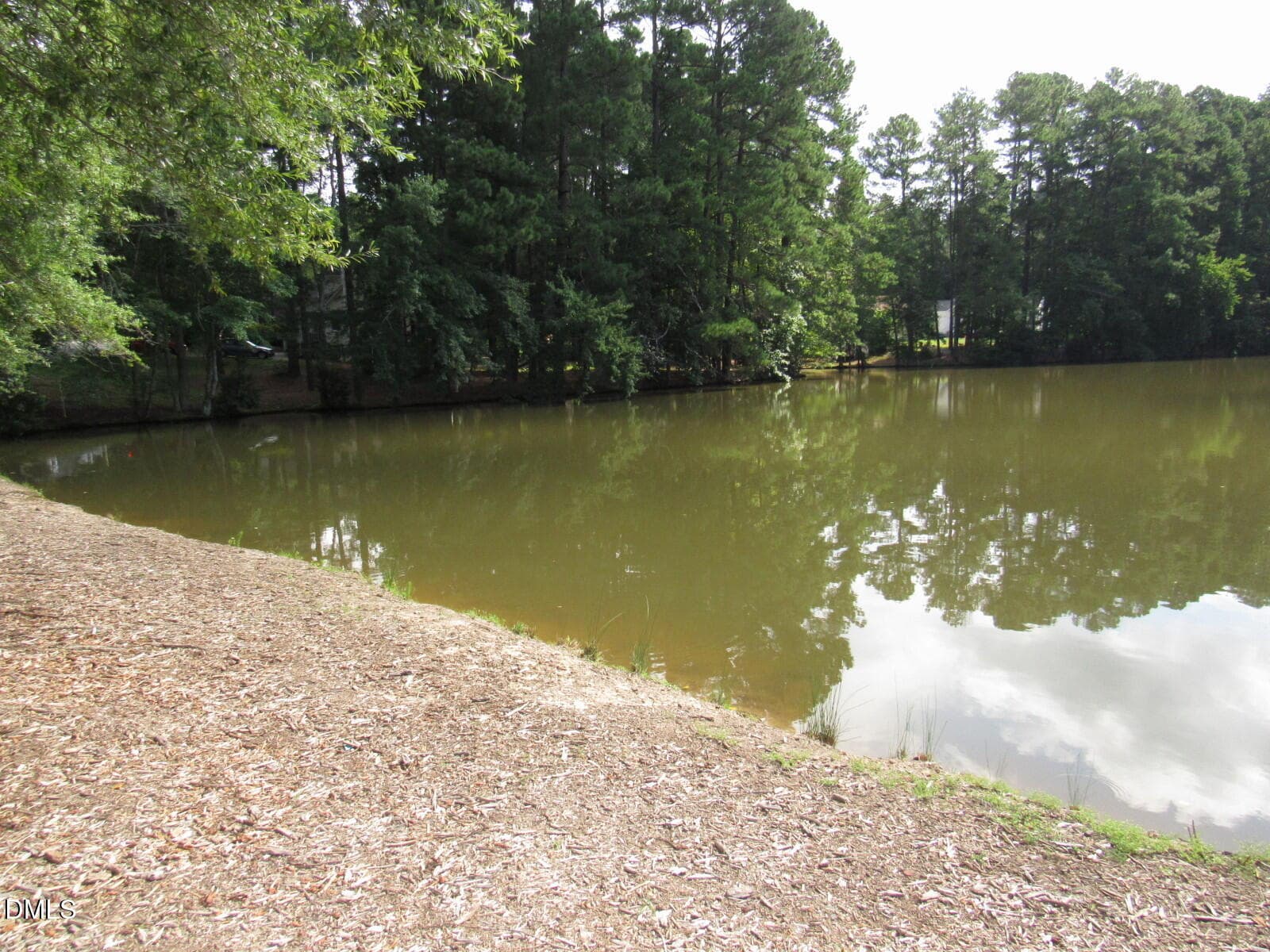 Neighborhood pond - 2723 Clifton Avenue, Creedmoor, NC 27522