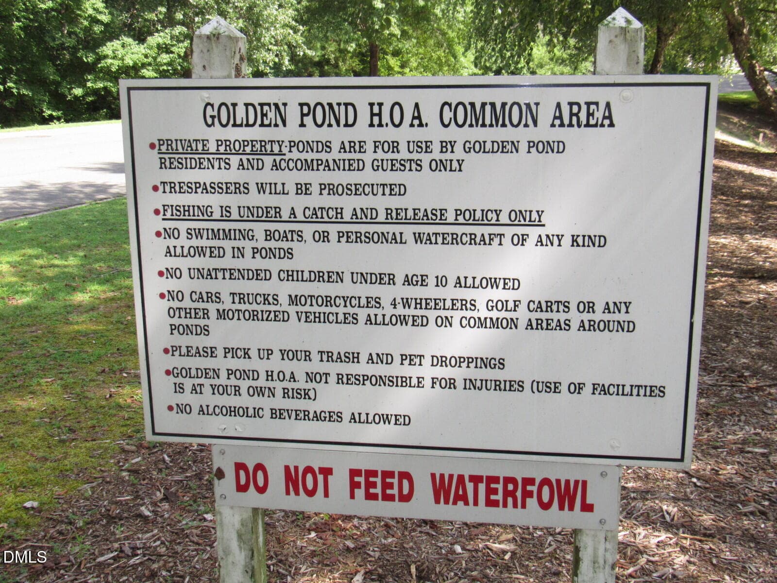 Neighborhood pond - 2723 Clifton Avenue, Creedmoor, NC 27522