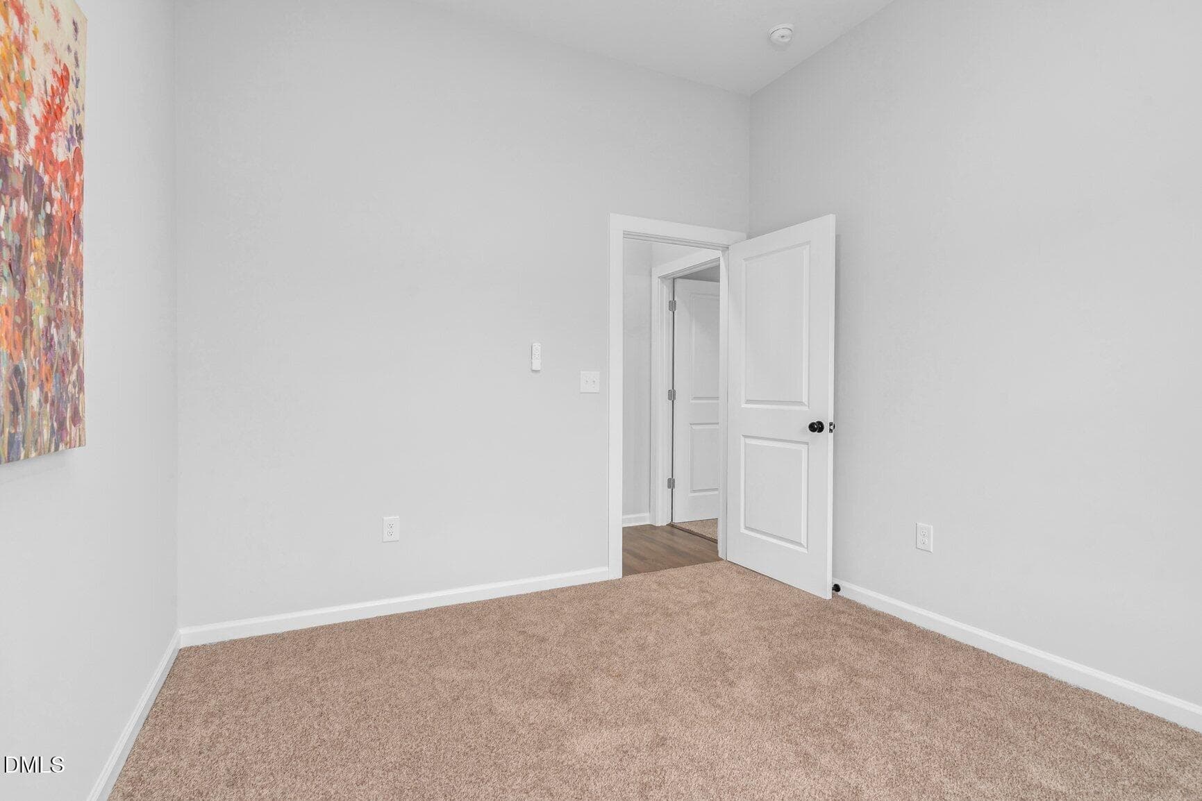 Bedroom 1 with Large Closet - 1173 Nick Coley Road, Whitakers, NC 27891, Whitakers