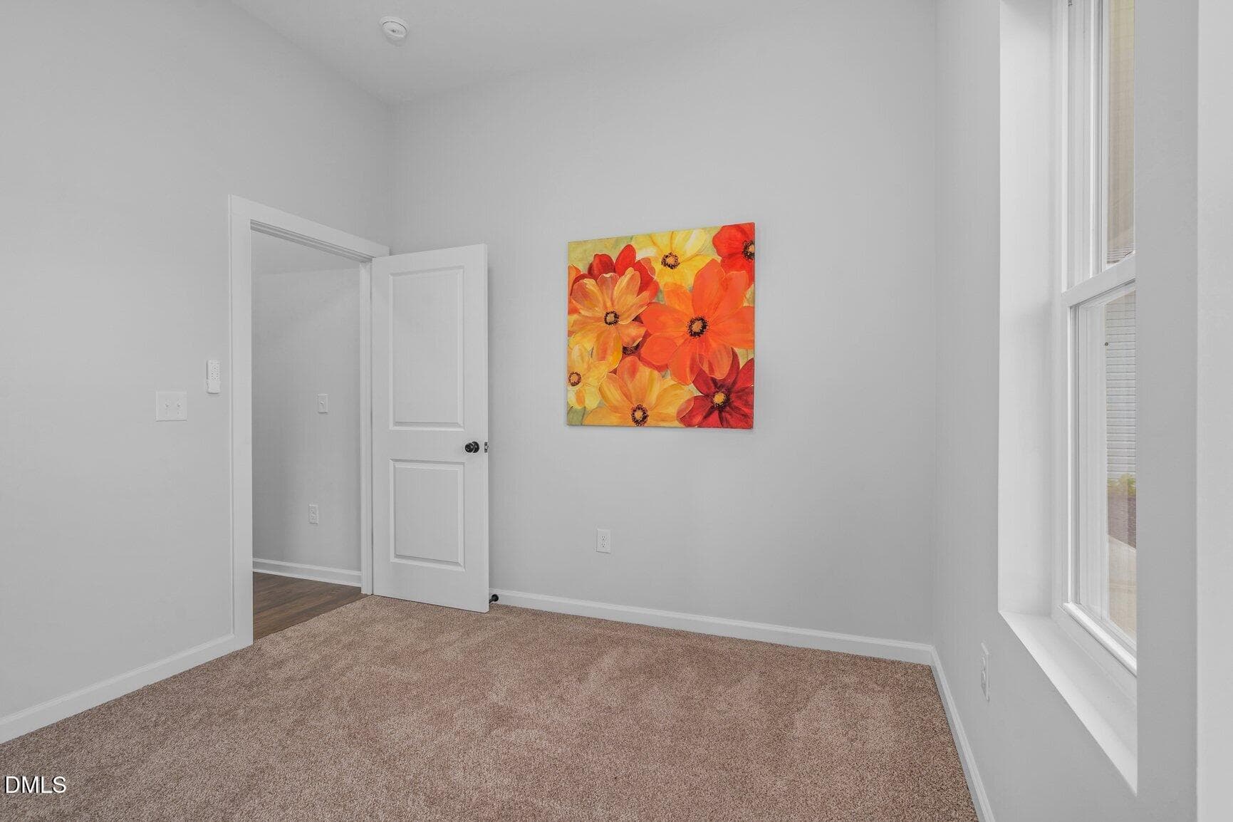 Natural Lighting - 1173 Nick Coley Road, Whitakers, NC 27891, Whitakers