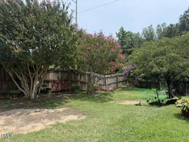 backyard - 425 Talmage Street, Raleigh, NC 27603, Raleigh