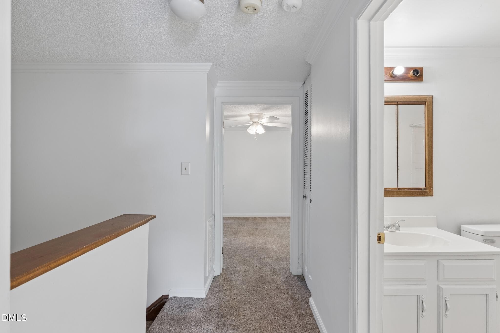 DSC02201 - 4105 Iver Johnson Drive, Raleigh, NC 27606, Raleigh