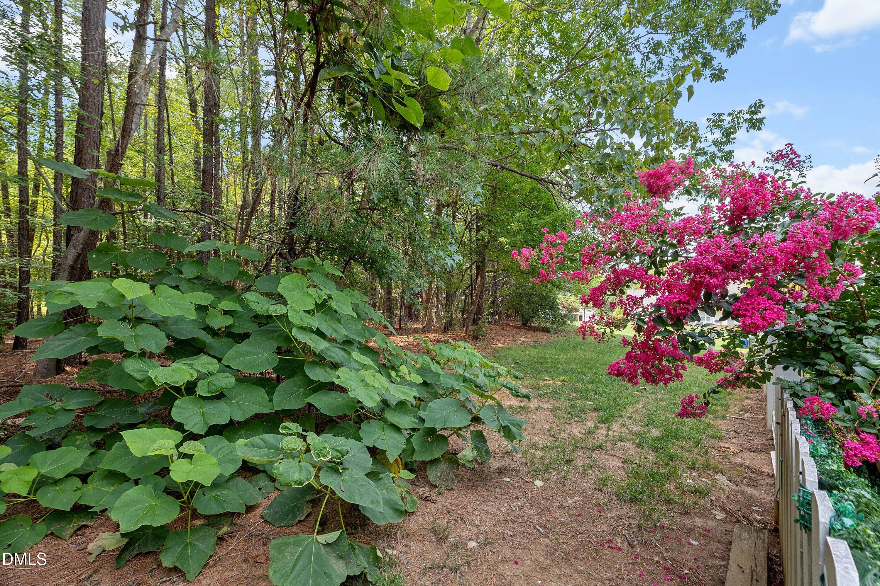 36-3122 Coxindale Dr_0695 - 3122 Coxindale Drive, Raleigh, NC 27615, Raleigh
