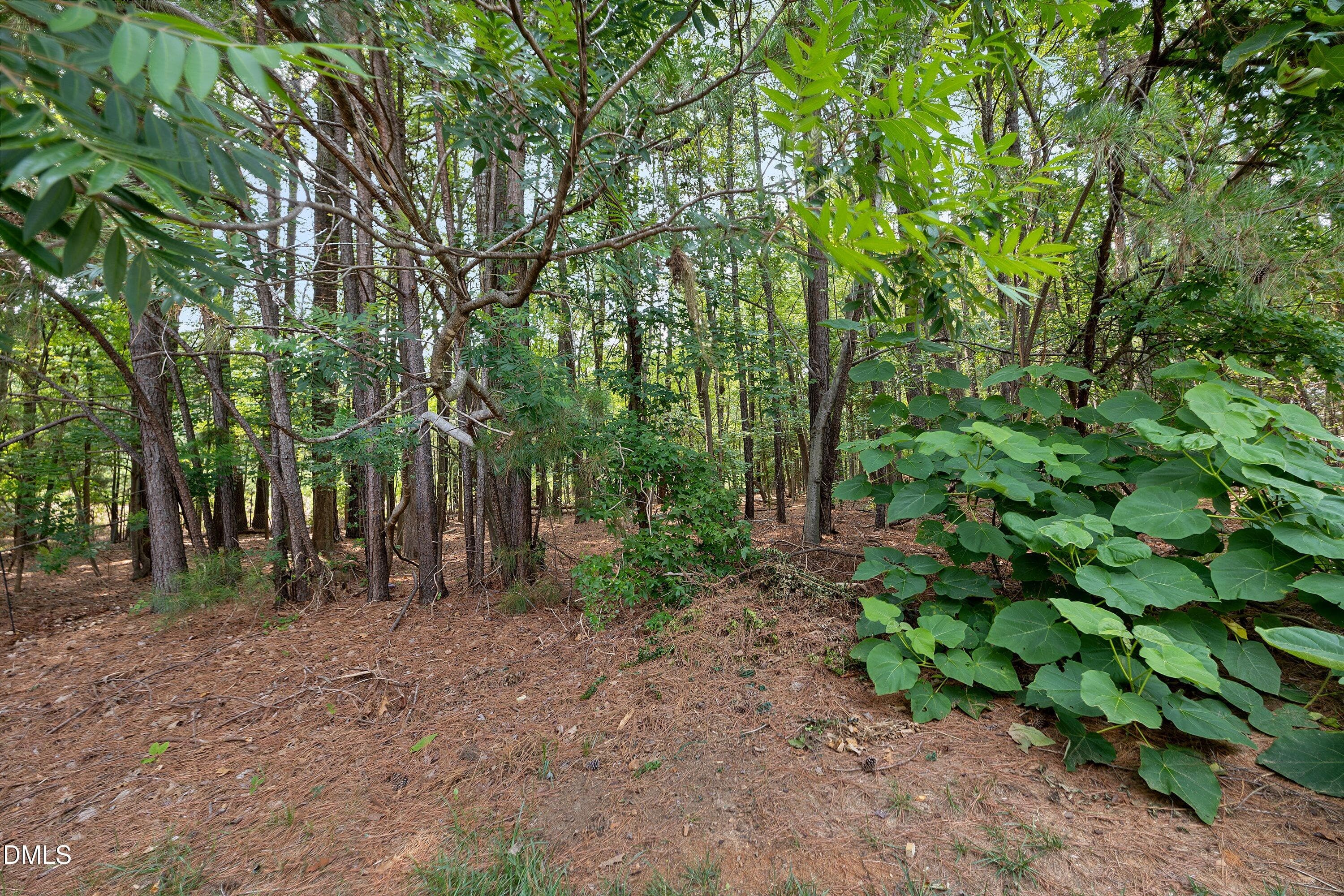 42-3122 Coxindale Dr_0692 - 3122 Coxindale Drive, Raleigh, NC 27615, Raleigh