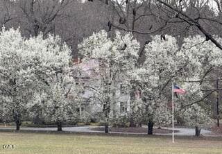 bradford pears - 2102 Bahama Road, Bahama, NC 27503, Bahama