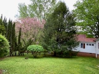 flowering cherry 2 - 2102 Bahama Road, Bahama, NC 27503, Bahama