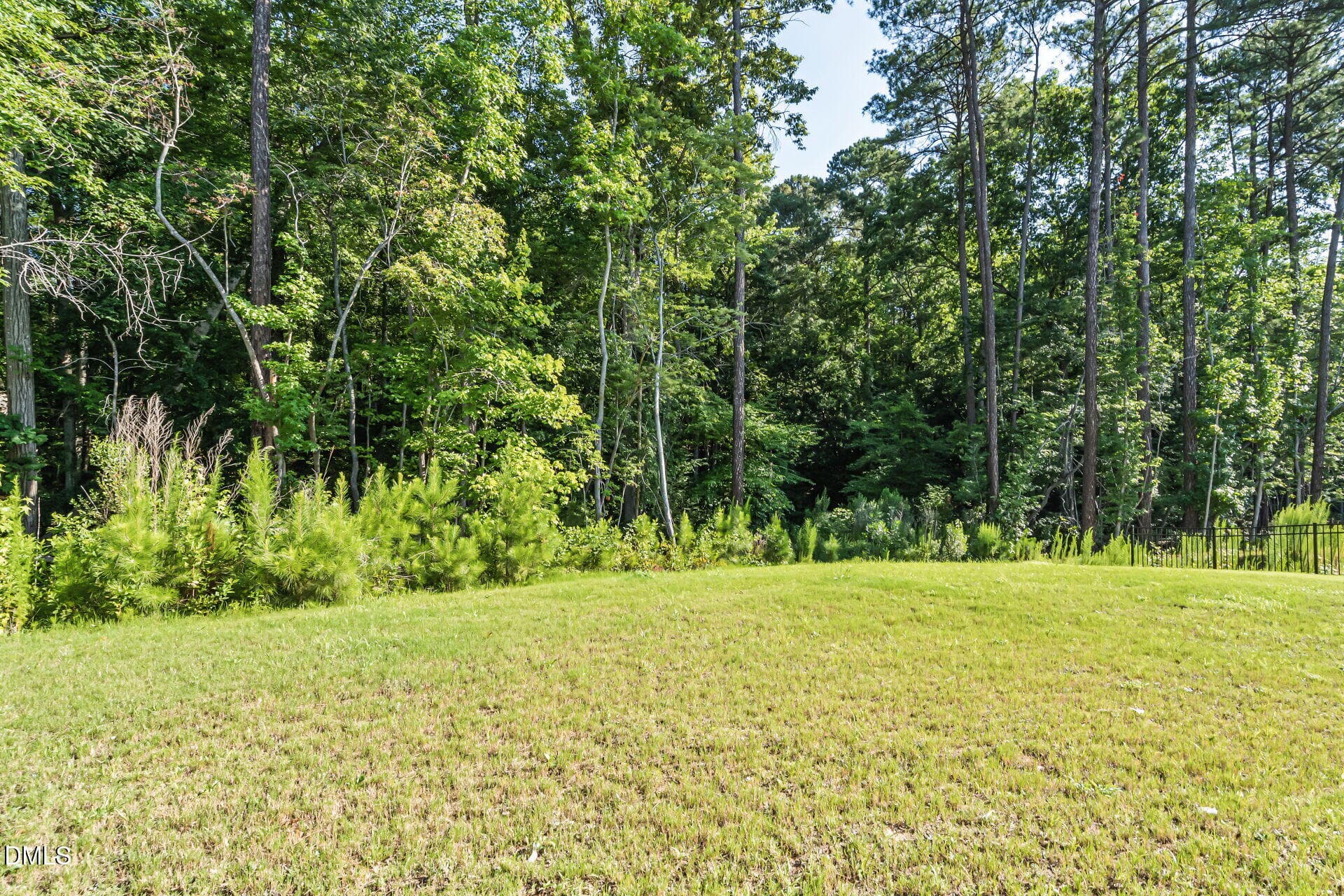 Backyard - 3205 Collaborative Way, Raleigh, NC 27610, Raleigh