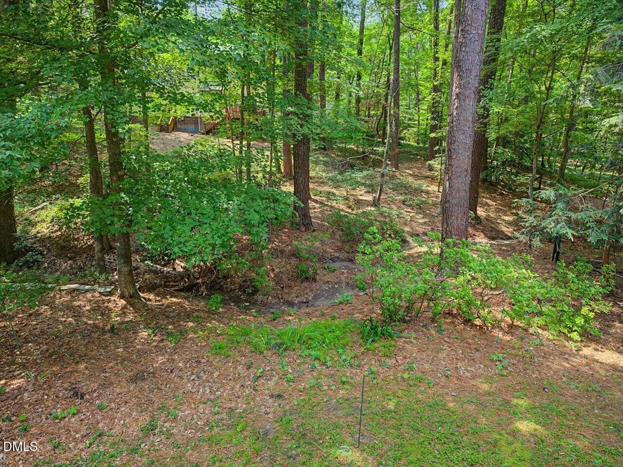 31-Deck View - 4815 Fortunes Ridge Drive, Durham, NC 27713, Durham