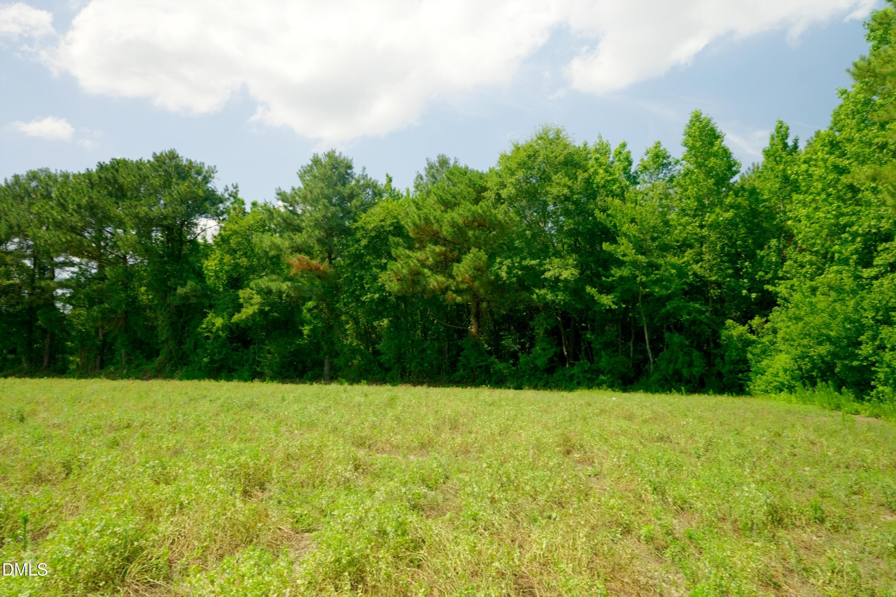 Sampson County Property Still Photo25-1 - 3 Bowden Road, Turkey, NC 28393