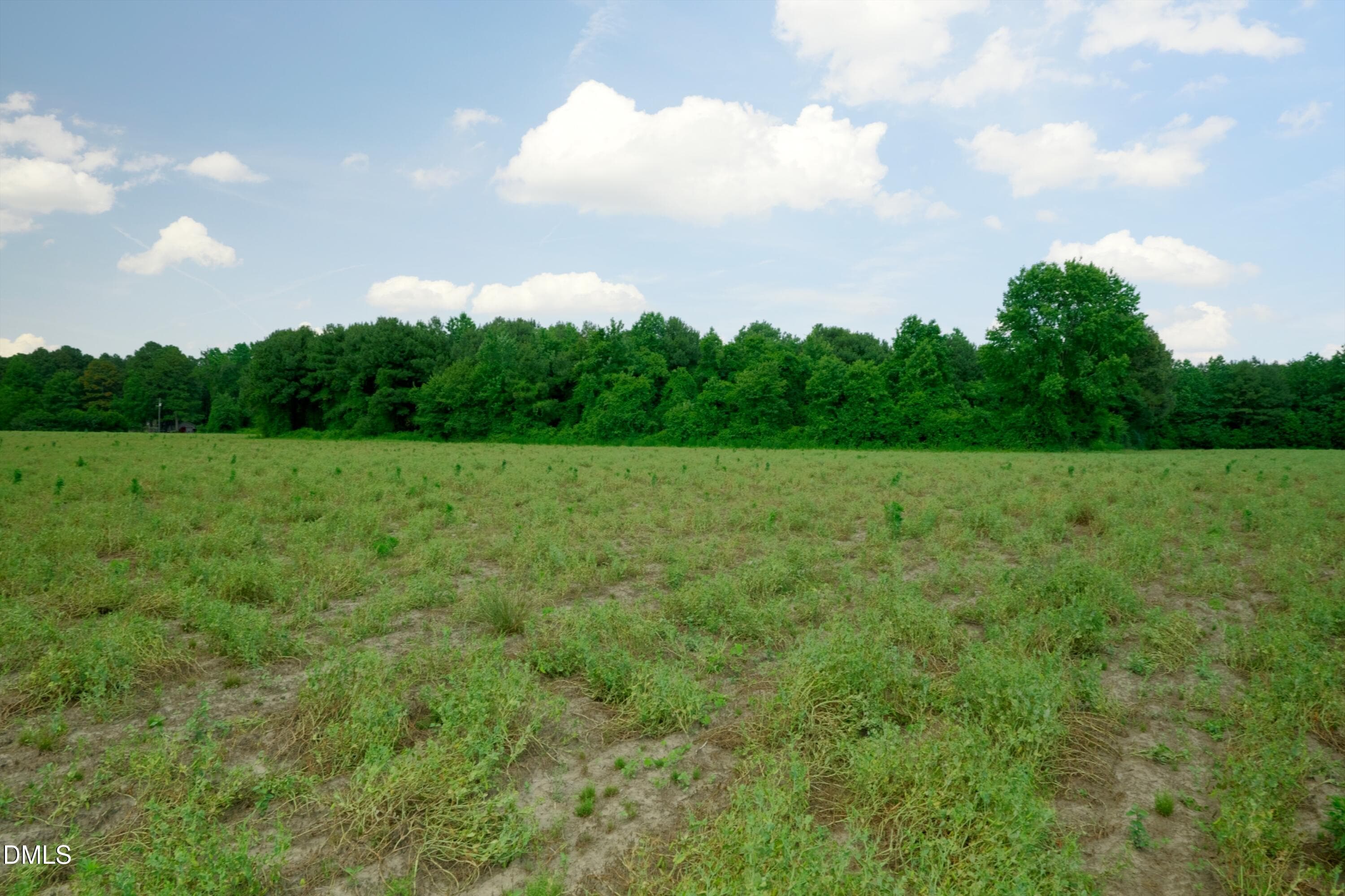 Sampson County Property Still Photo26 - 3 Bowden Road, Turkey, NC 28393