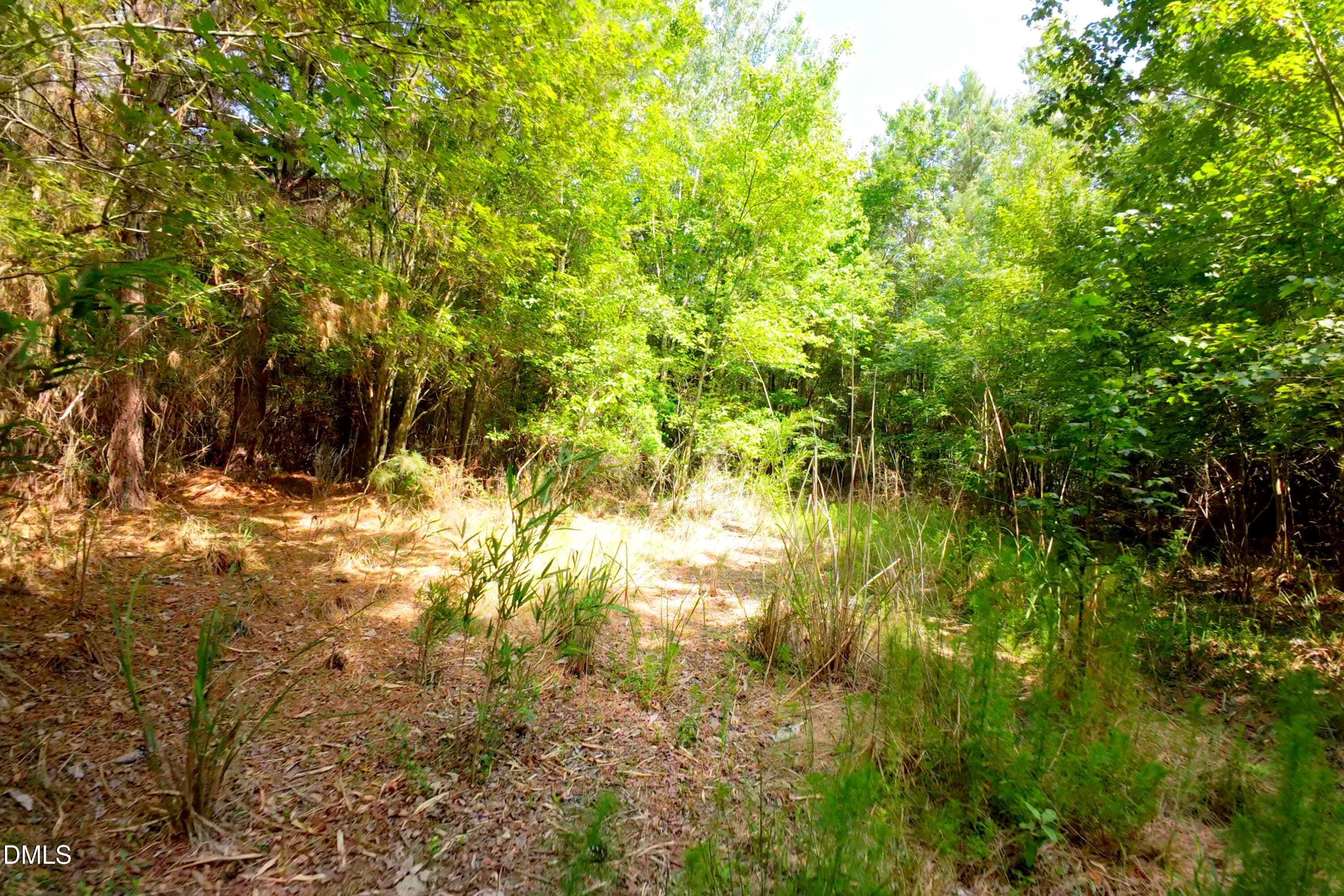 Sampson County Property Still Photo30 - 3 Bowden Road, Turkey, NC 28393