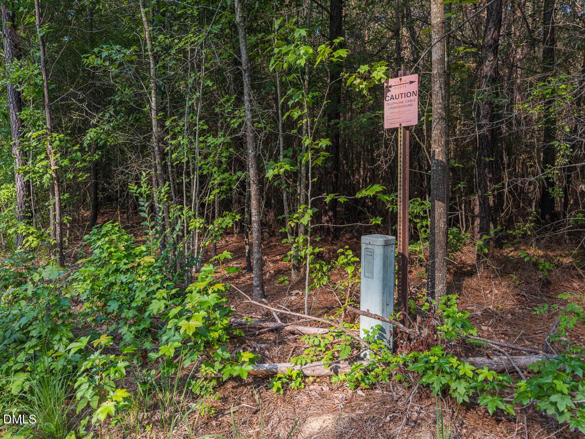 Durham Co. NC 21.73-Rogers-Lot2-041 - 00 Cassam Road, Bahama, NC 27503, Bahama