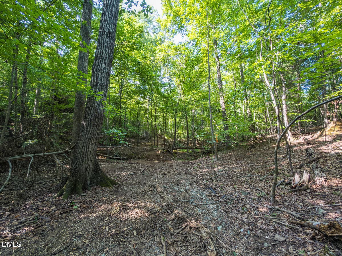 Durham Co. NC 32.68-Rogers-Lot3-014 - 00 Cassam Road, Bahama, NC 27503, Bahama