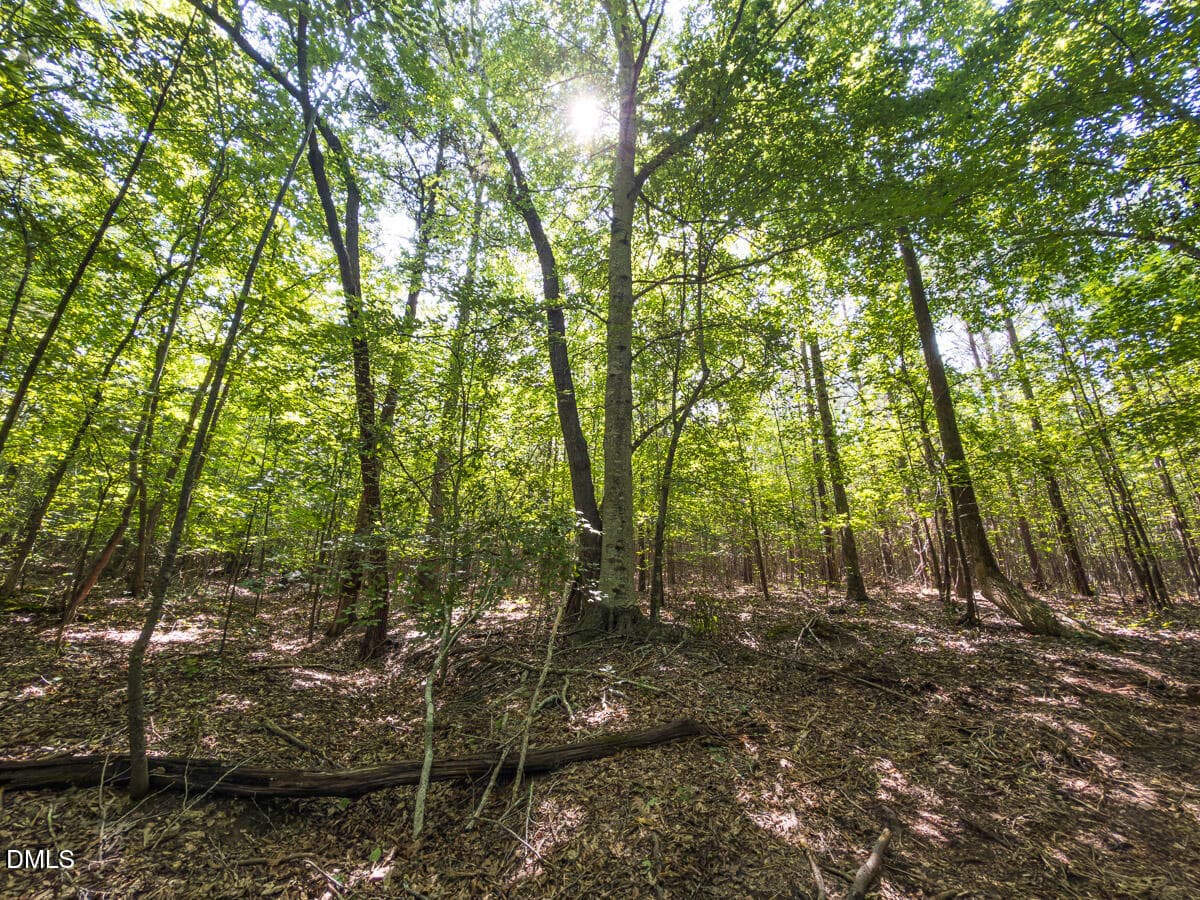 Durham Co. NC 32.68-Rogers-Lot3-025 - 00 Cassam Road, Bahama, NC 27503, Bahama