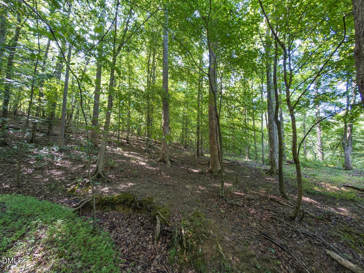 Durham Co. NC 32.68-Rogers-Lot3-037 - 00 Cassam Road, Bahama, NC 27503, Bahama