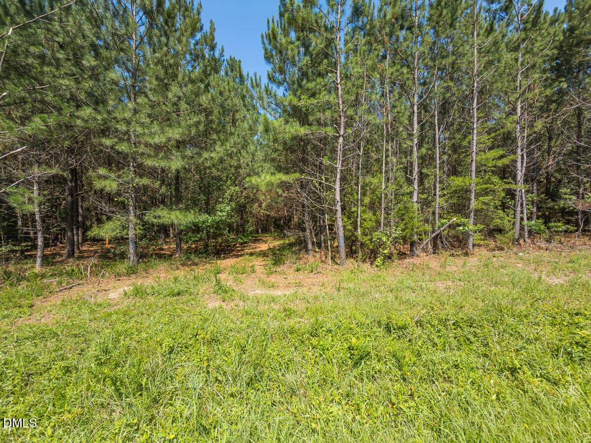 Durham Co. NC 54.42-Rogers-Lot4-017 - 00 Cassam Road, Bahama, NC 27503, Bahama