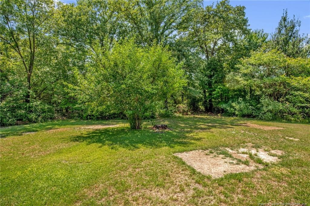 Photo 35 - 157 Flat Rock Lane, Aberdeen, NC 28315, Aberdeen