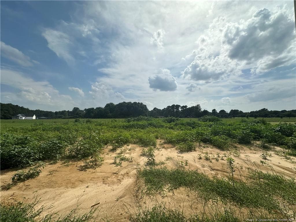 Photo 16 - 8363 Shannon Road, Shannon, NC 28386