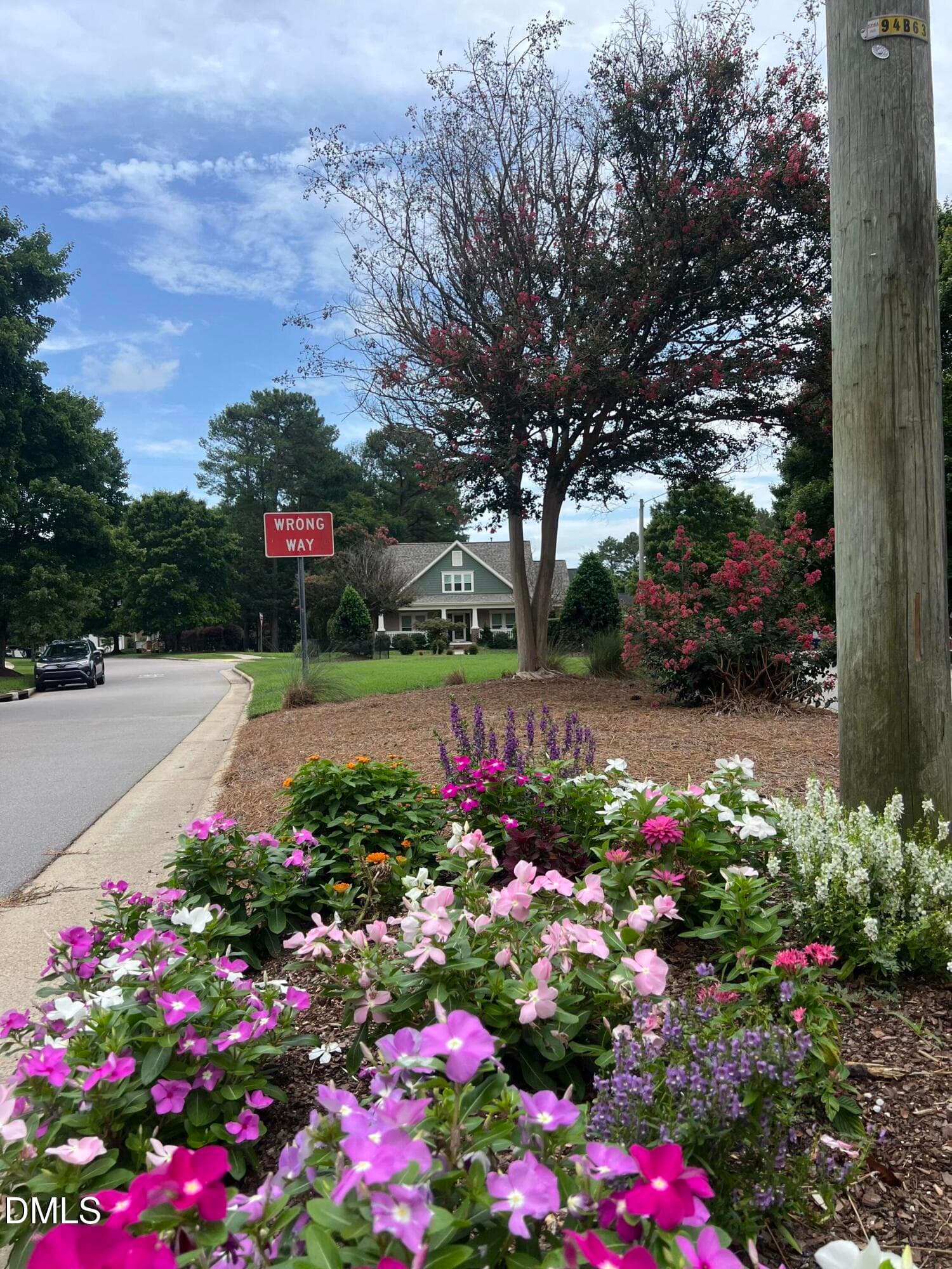 Falls River Street scene - 10845 Connally Lane, Raleigh, NC 27614, Raleigh