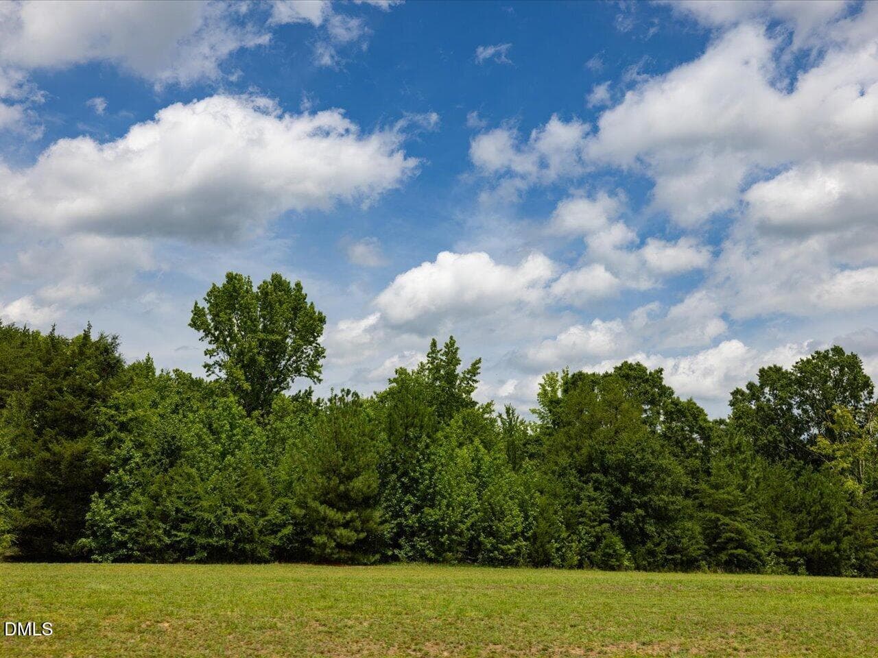 0 Anderson Rd - 0 Anderson Road, Green Level, NC 27217