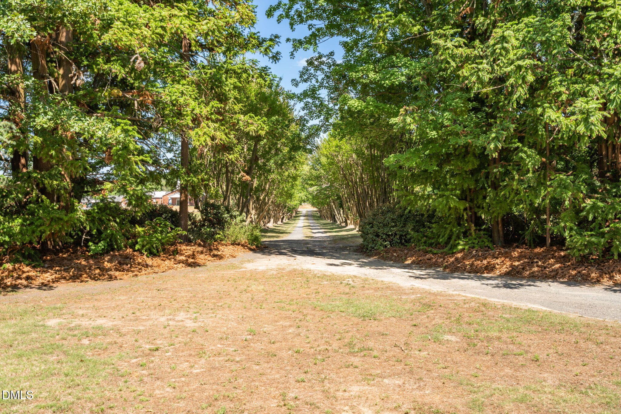 2-web-or-mls-11948 NC-87-2 - 11948 Nc-87, Eden, NC 27288