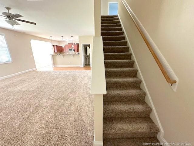 Carpeted Staircase - 5137 Perfection Lane, Hope Mills, NC 28348