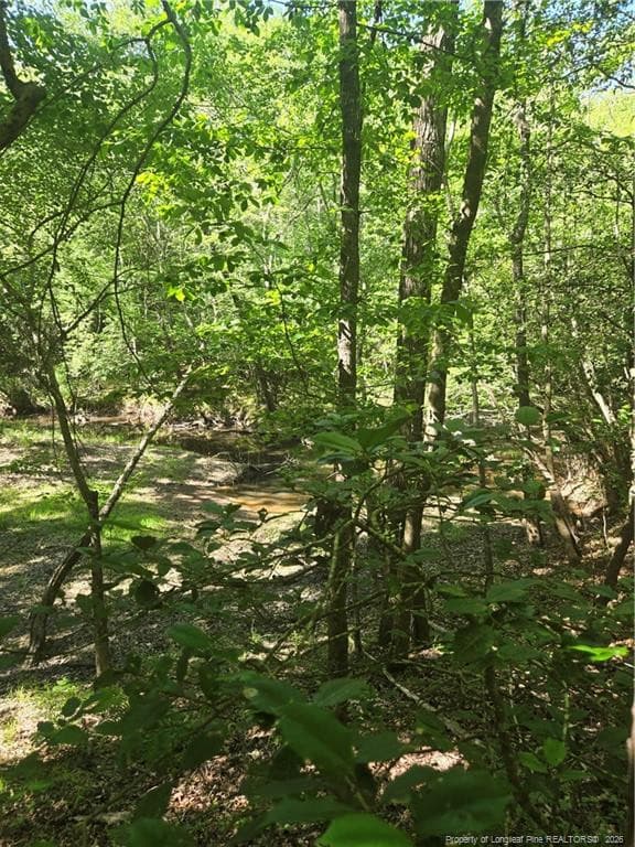 Photo 2 - 234 Circle Drive, Vass, NC 28394