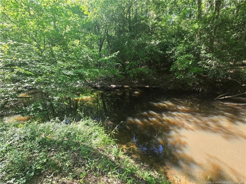 Photo 3 - 234 Circle Drive, Vass, NC 28394