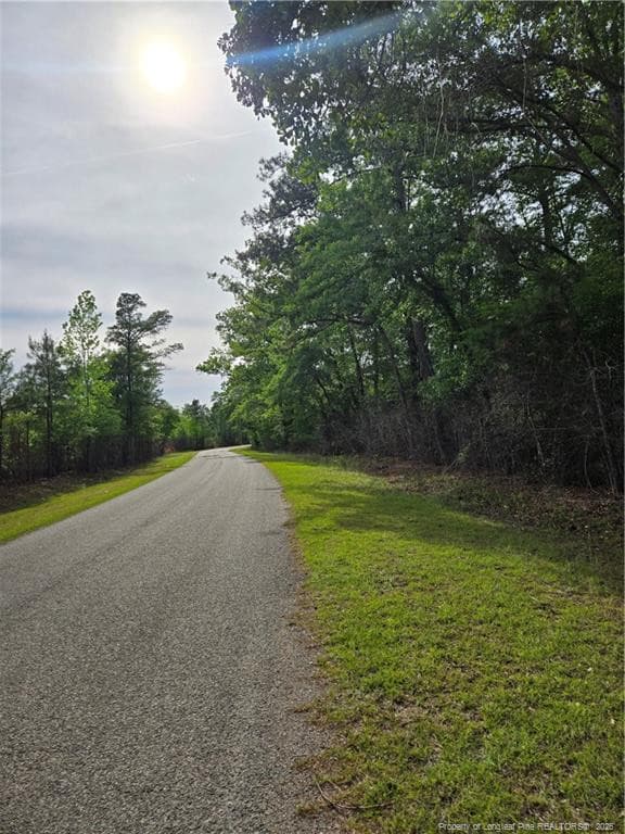 Photo 4 - 234 Circle Drive, Vass, NC 28394