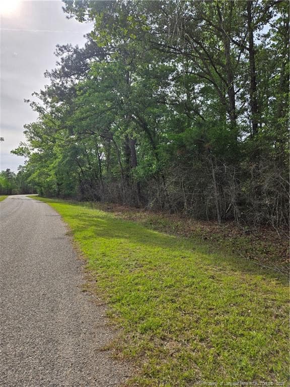Photo 5 - 234 Circle Drive, Vass, NC 28394