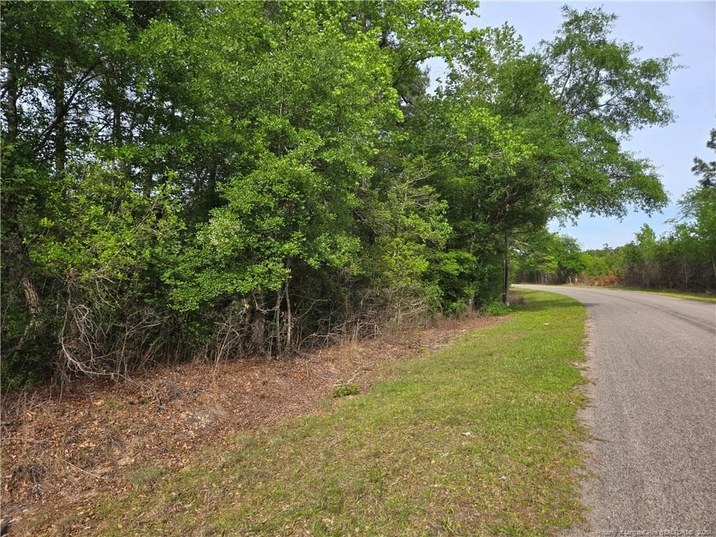 Photo 6 - 234 Circle Drive, Vass, NC 28394